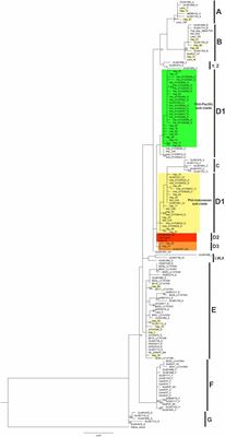 Population Genetic Structure and Contribution of Philippine Chickens to the Pacific Chicken Diversity Inferred From Mitochondrial DNA